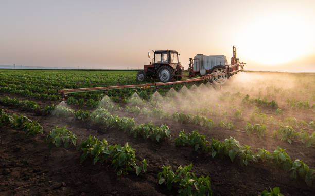 Best Commercial Pest Control Services  in Wrens, GA