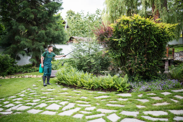 Pest Prevention Services in Wrens, GA