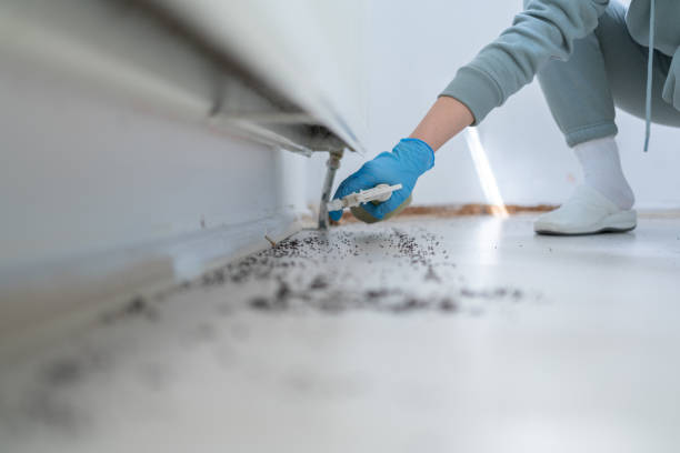 Best Wasp Removal Services  in Wrens, GA