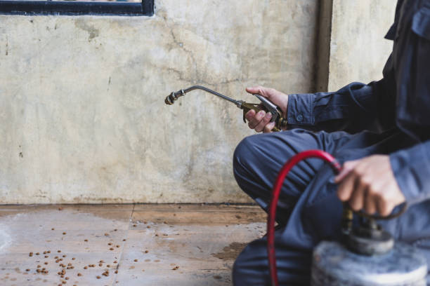 Best Pest Removal Services  in Wrens, GA